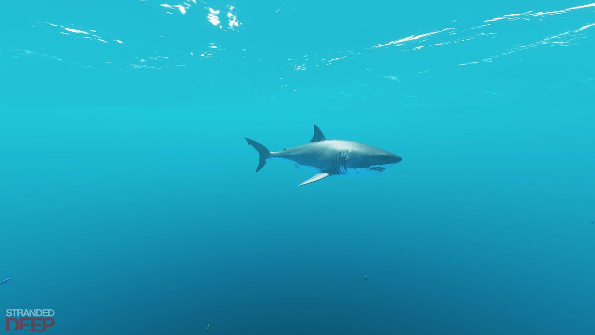 Stranded Deep (PC) - Steam Gift - GLOBAL   - Beam Team Pty Ltd [Email/Instant Delivery]