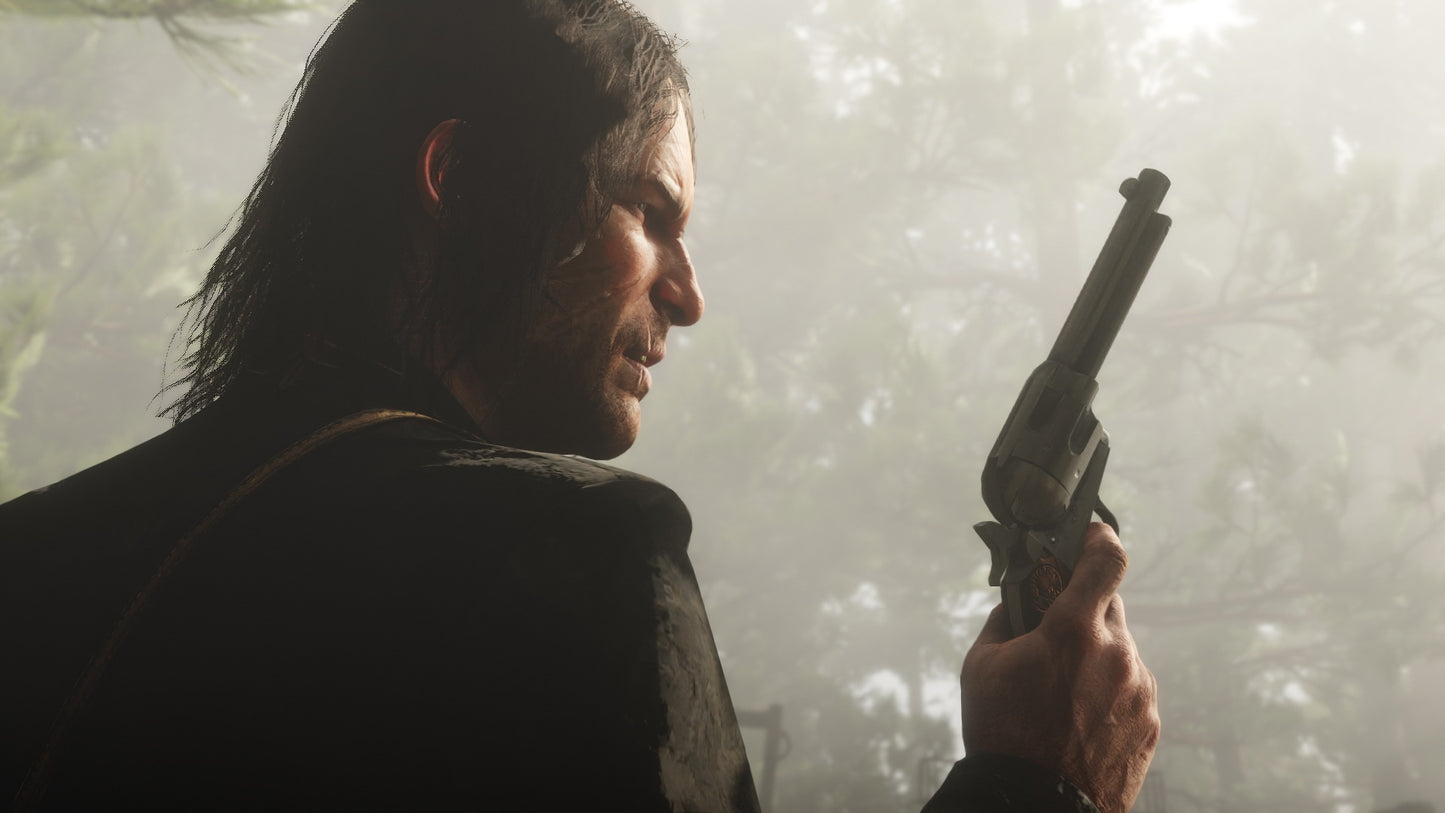 Red Dead Redemption 2 | Special Edition (PC) - Rockstar Key - GLOBAL   - Take-Two Interactive [Email/Instant Delivery]