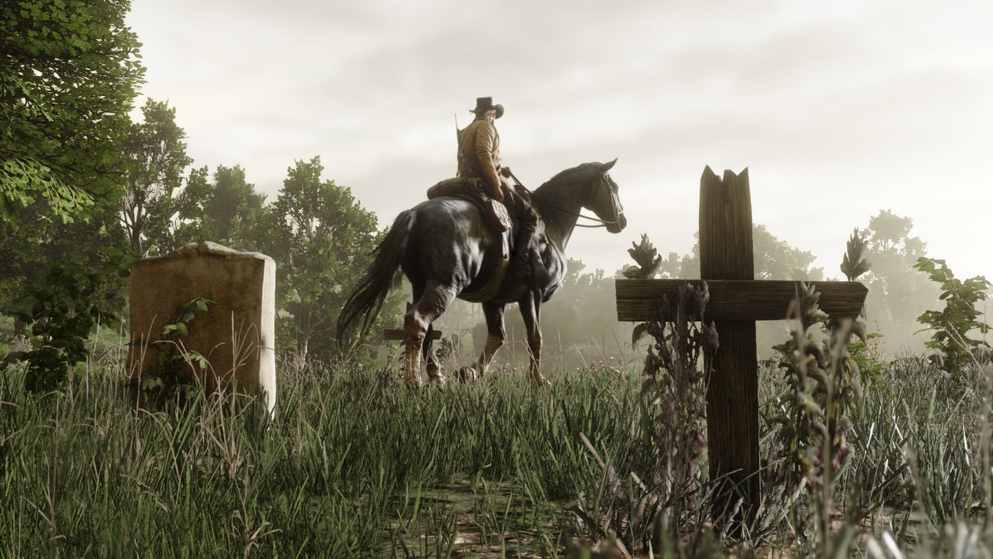 Red Dead Redemption 2 | Special Edition (PC) - Rockstar Key - UNITED STATES   - Take-Two Interactive [Email/Instant Delivery]