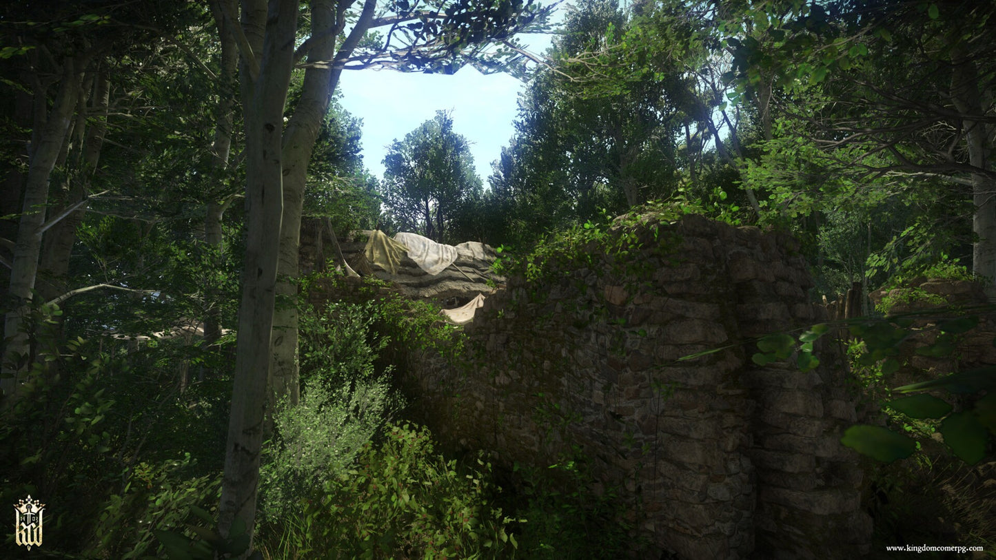 Kingdom Come: Deliverance – The Amorous Adventures of Bold Sir Hans Capon (PC) - Steam Key - GLOBAL   - Warhorse Studios [Email/Instant Delivery]