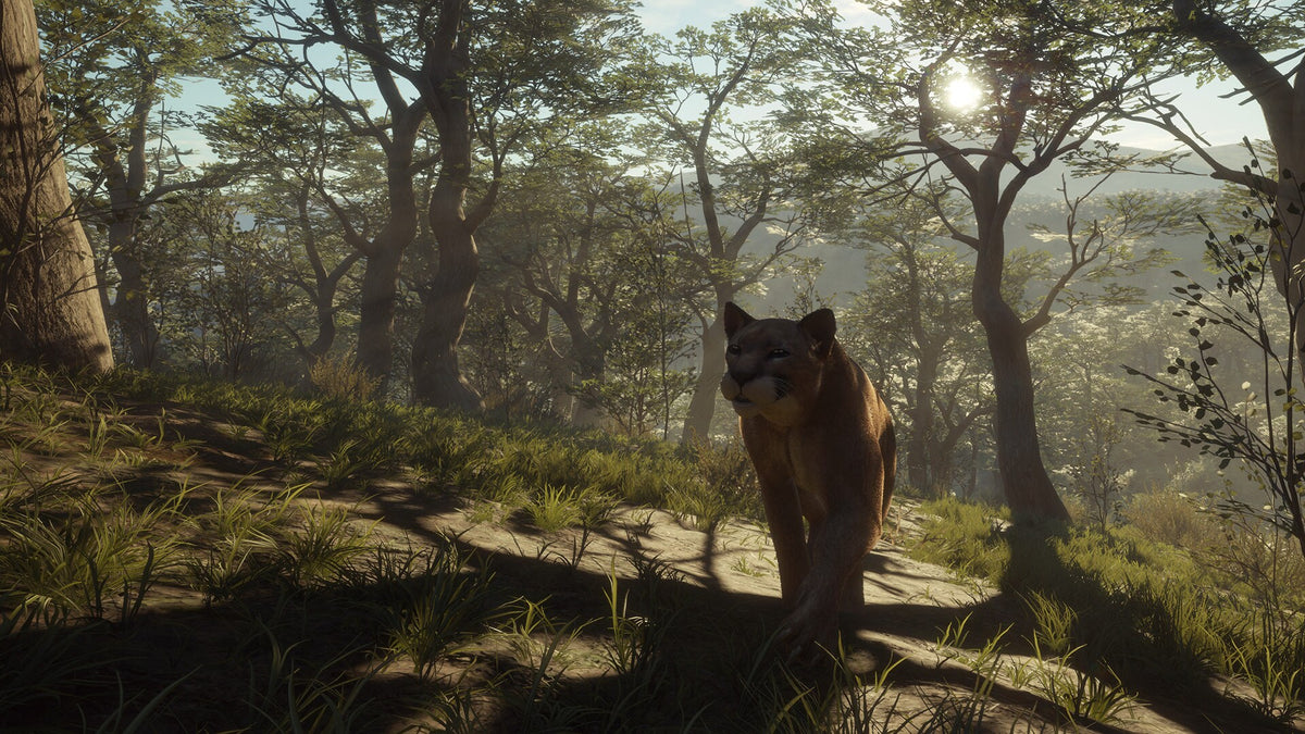 theHunter: Call of the Wild - Parque Fernando (PC) - Steam Key - GLOBAL   - Expansive Worlds [Email/Instant Delivery]