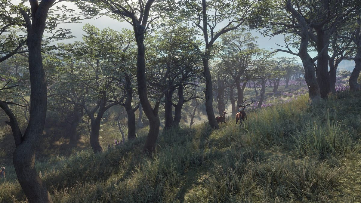 theHunter: Call of the Wild - Parque Fernando (PC) - Steam Key - GLOBAL   - Expansive Worlds [Email/Instant Delivery]