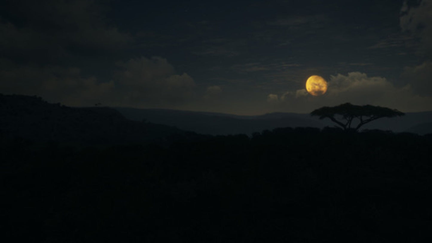 theHunter™: Call of the Wild - Vurhonga Savanna (PC) - Steam Key - GLOBAL   - Expansive Worlds [Email/Instant Delivery]