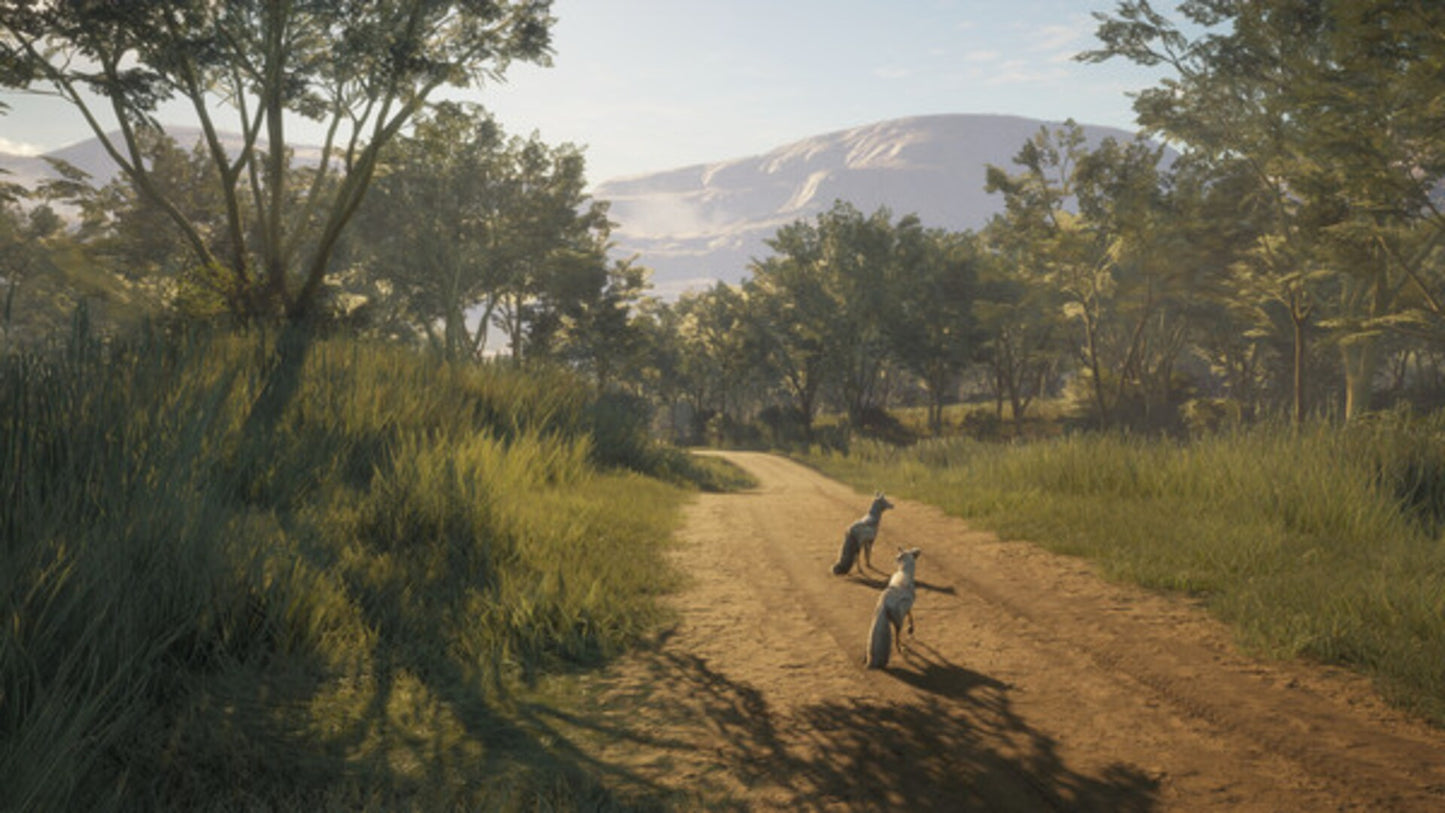 theHunter™: Call of the Wild - Vurhonga Savanna (PC) - Steam Key - GLOBAL   - Expansive Worlds [Email/Instant Delivery]