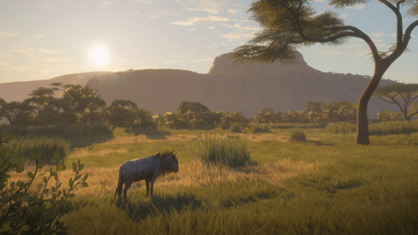 theHunter™: Call of the Wild - Vurhonga Savanna (PC) - Steam Key - GLOBAL   - Expansive Worlds [Email/Instant Delivery]