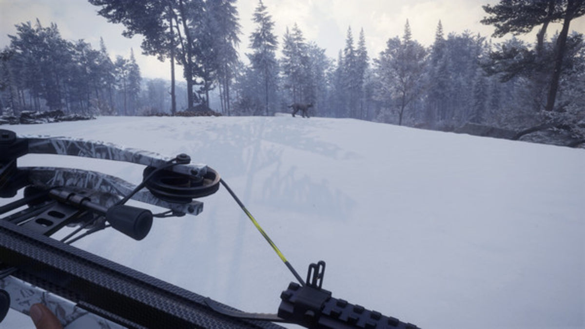 theHunter™: Call of the Wild - Weapon Pack 1 (PC) - Steam Key - GLOBAL   - Expansive Worlds [Email/Instant Delivery]