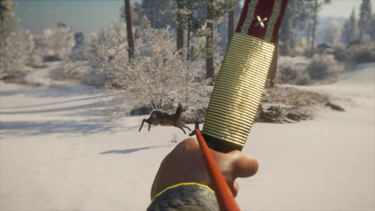 theHunter™: Call of the Wild - Weapon Pack 1 (PC) - Steam Key - GLOBAL   - Expansive Worlds [Email/Instant Delivery]