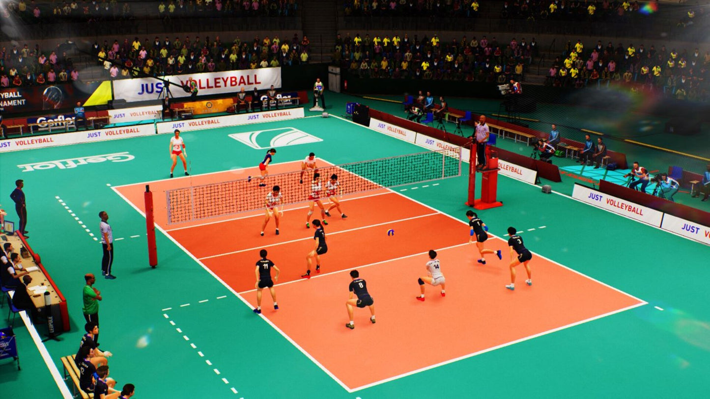 SPIKE VOLLEYBALL (PC) - Steam Key - GLOBAL   - Bigben Interactive [Email/Instant Delivery]