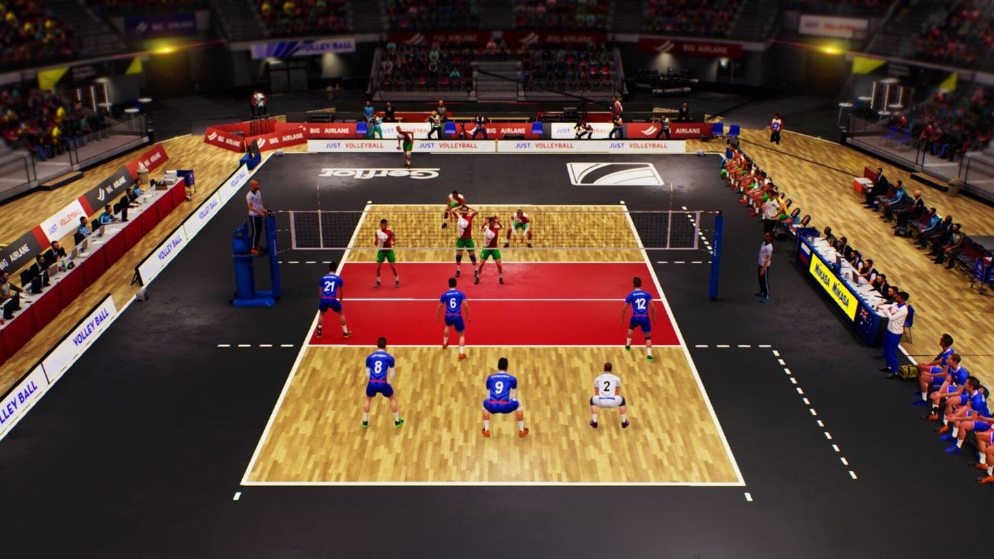 SPIKE VOLLEYBALL (PC) - Steam Key - GLOBAL   - Bigben Interactive [Email/Instant Delivery]