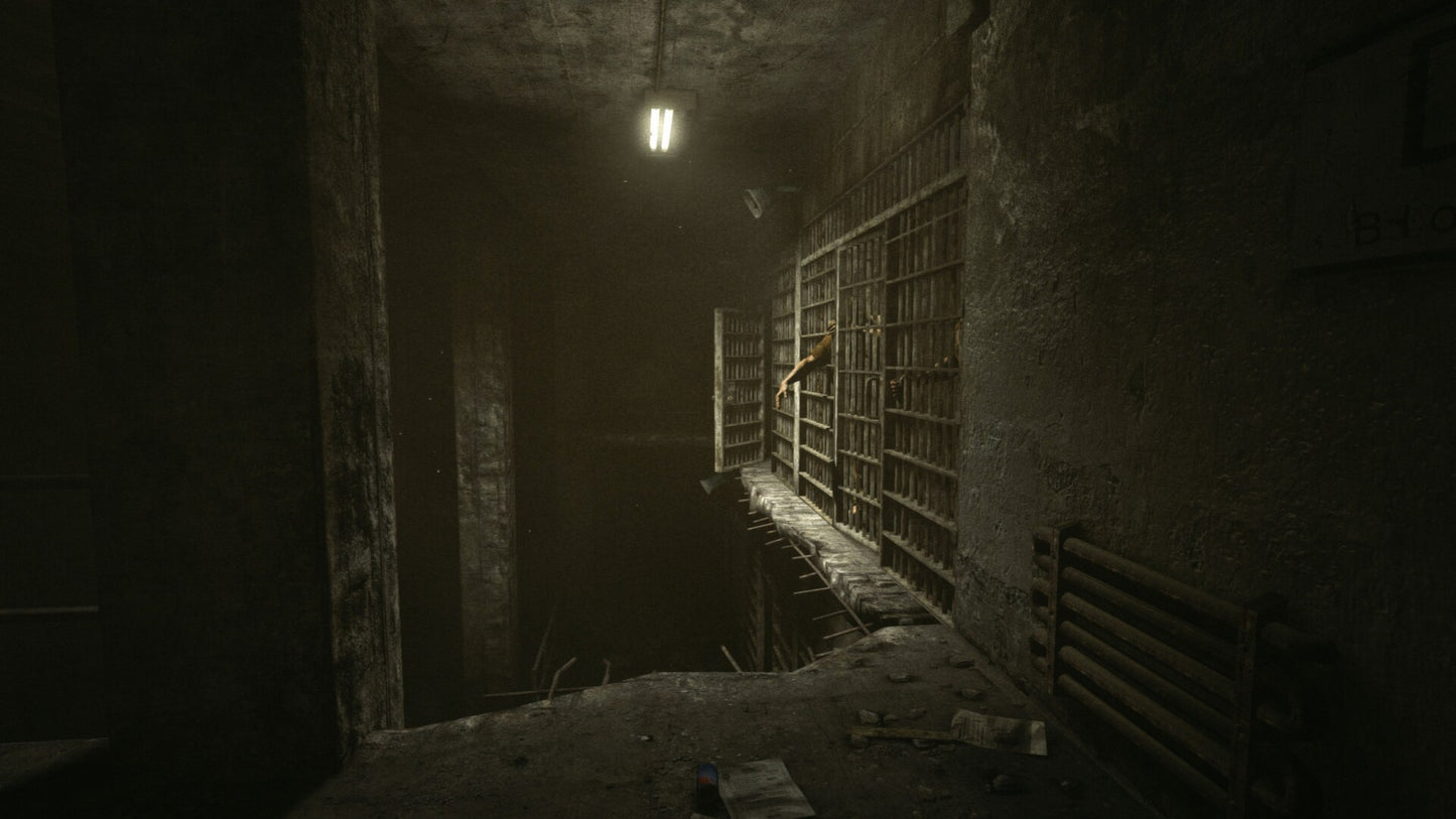 OUTLAST TRINITY (PC) - Steam Key - GLOBAL   - Red Barrels [Email/Instant Delivery]