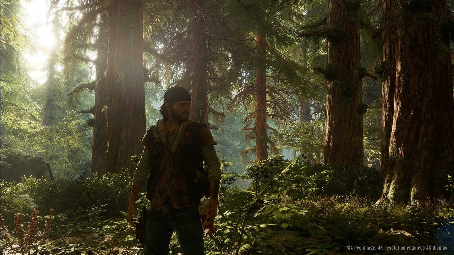 Days Gone (PC) - Steam Gift - GLOBAL   - Sony Interactive Entertainment [Email/Instant Delivery]