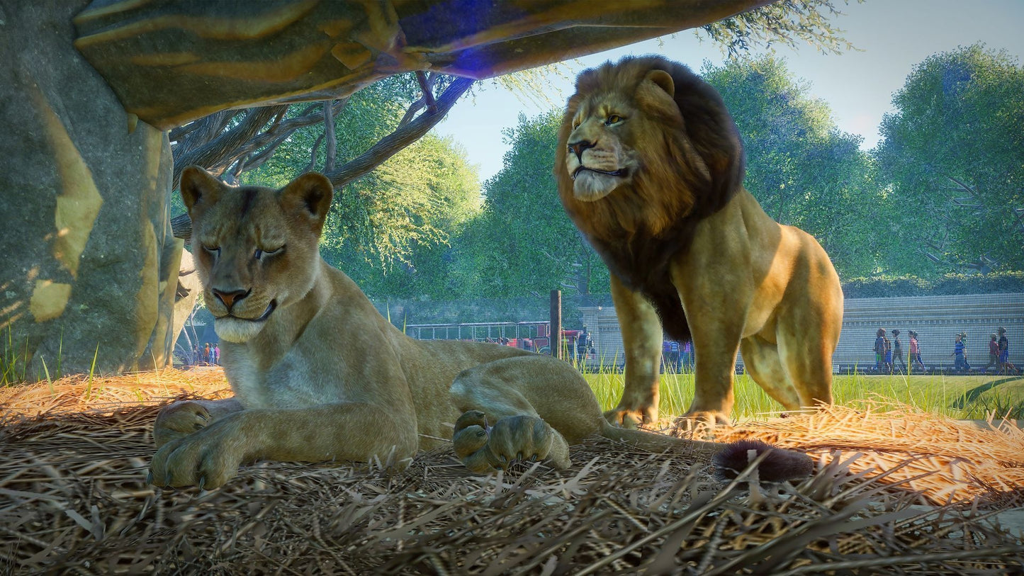 Planet Zoo | Premium Edition (PC) - Steam Key - GLOBAL   - Frontier Developments [Email/Instant Delivery]