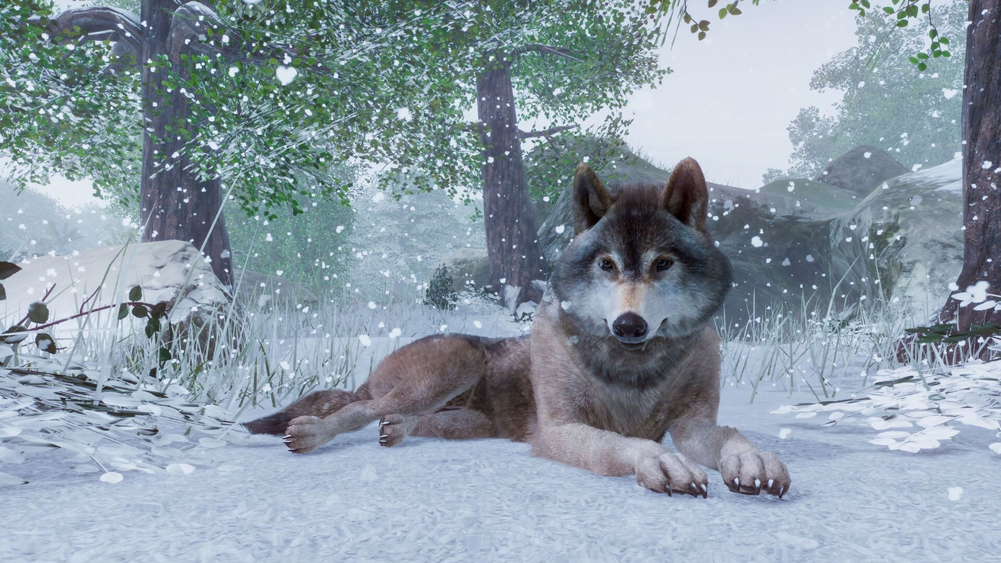 Planet Zoo Steam Gift GLOBAL   - Frontier Developments [Email/Instant Delivery]