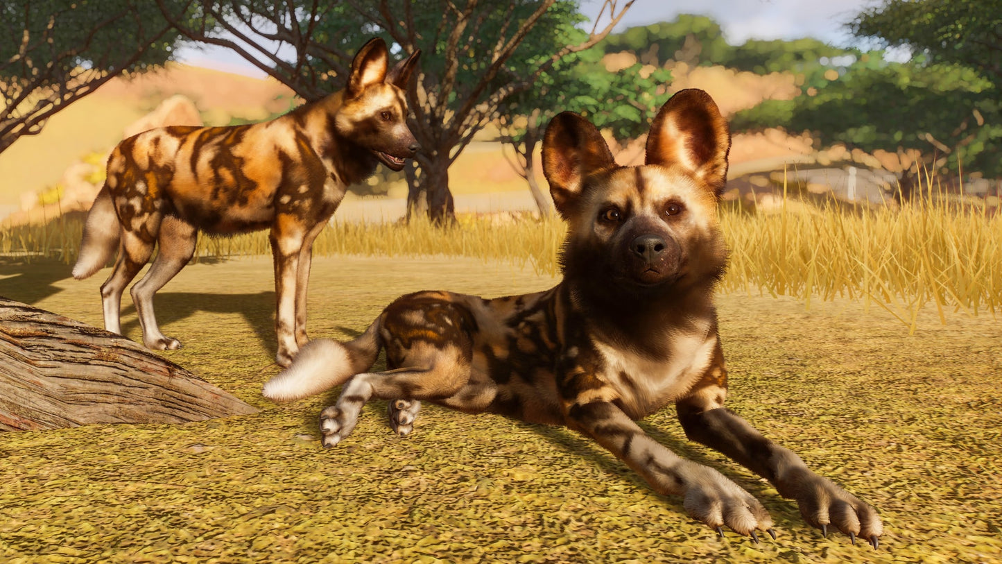 Planet Zoo Steam Key GLOBAL   - Frontier Developments [Email/Instant Delivery]