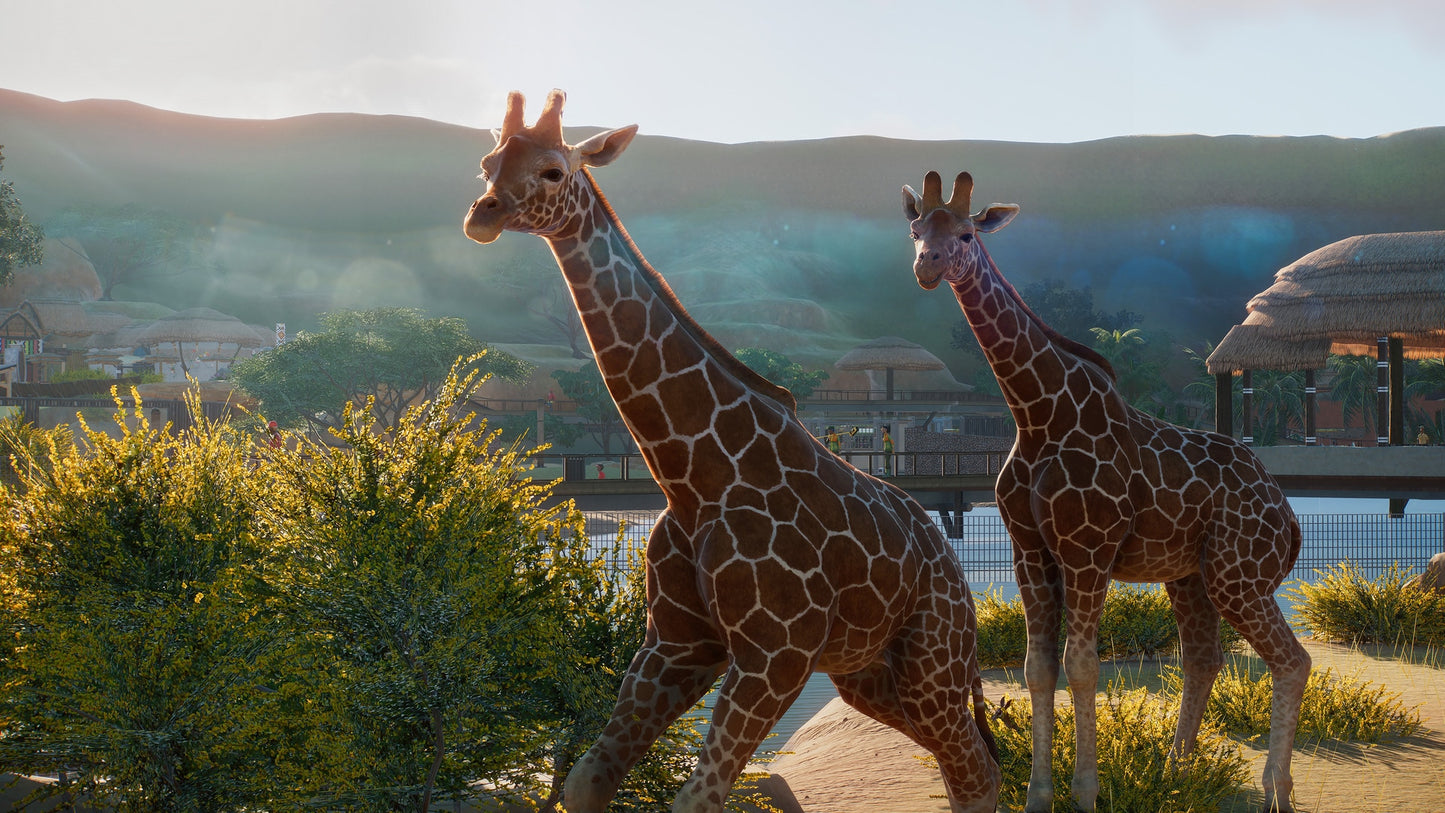 Planet Zoo | Premium Edition (PC) - Steam Key - GLOBAL   - Frontier Developments [Email/Instant Delivery]