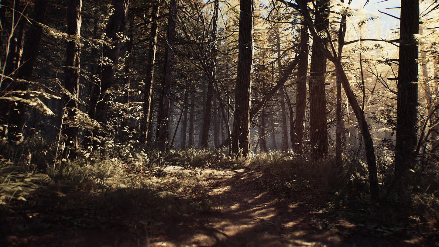 Blair Witch (PC) - Steam Key - GLOBAL   - Bloober Team [Email/Instant Delivery]