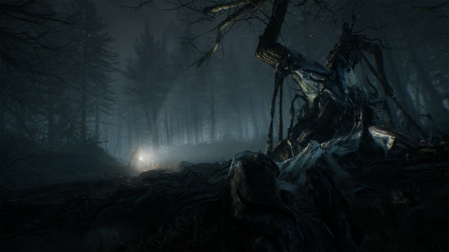 Blair Witch (PC) - Steam Key - GLOBAL   - Bloober Team [Email/Instant Delivery]