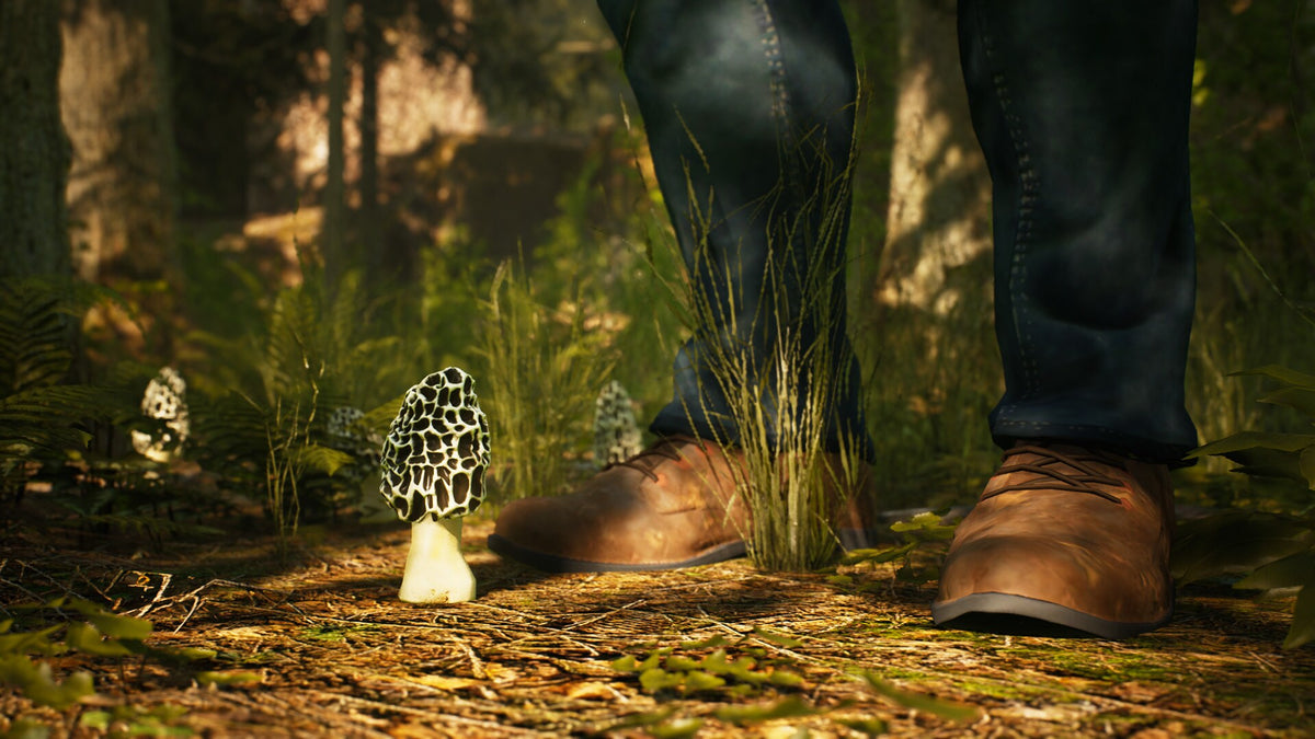 Morels: The Hunt - Steam - Gift GLOBAL   - Abrams Studios [Email/Instant Delivery]