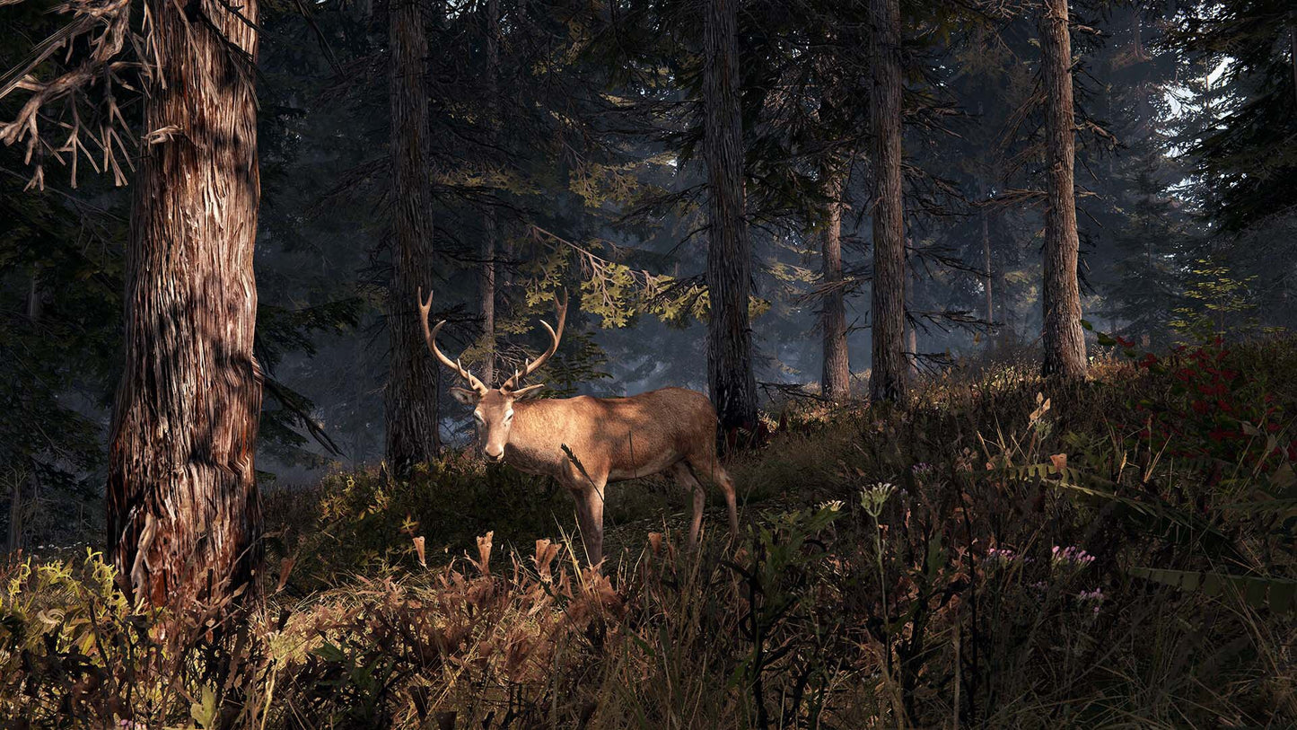 This Land Is My Land (PC) - Steam Gift - NORTH AMERICA   - Game-Labs [Email/Instant Delivery]