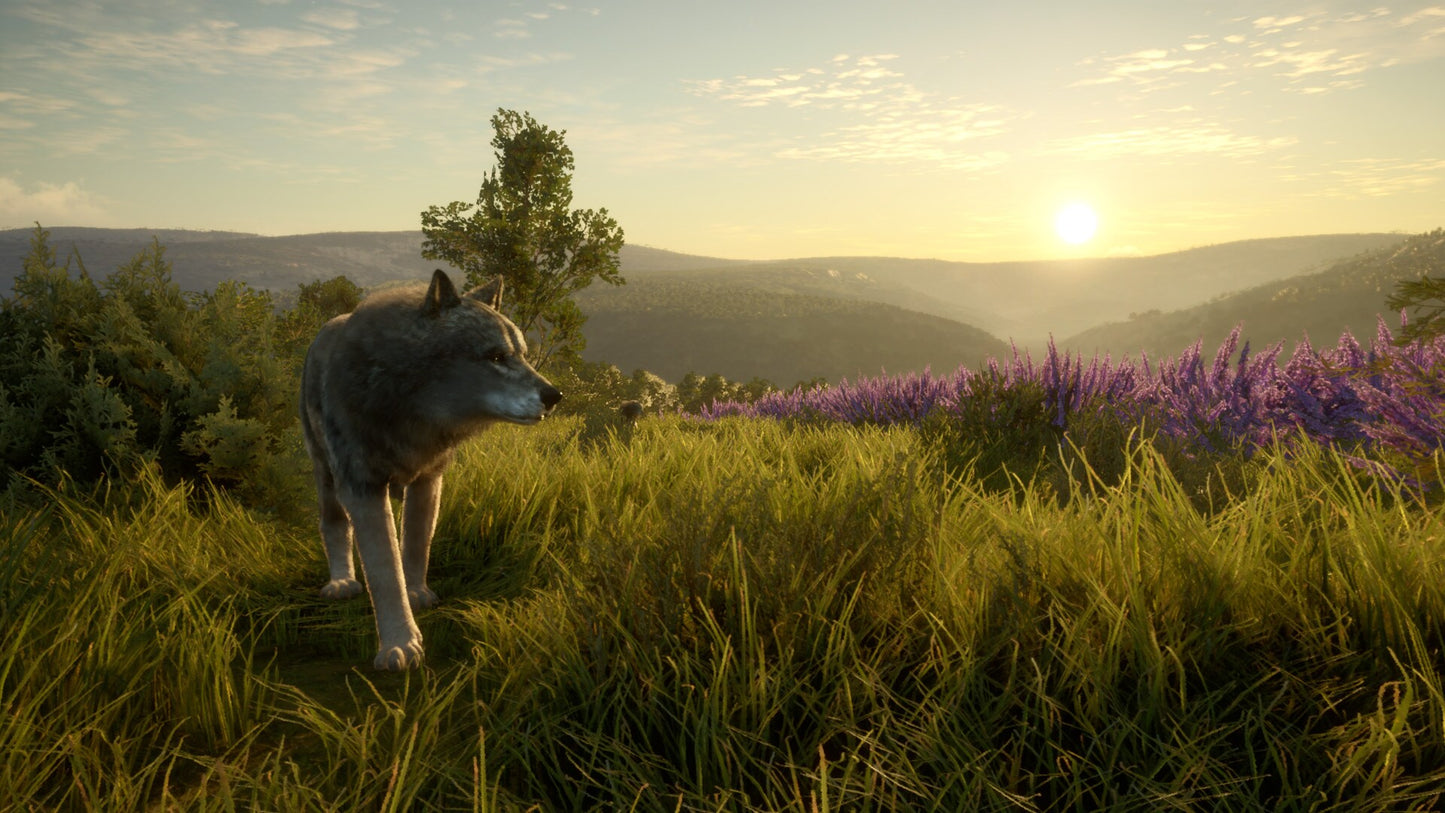 theHunter: Call of the Wild - Cuatro Colinas Game Reserve (PC) - Steam Key - GLOBAL   - Expansive Worlds [Email/Instant Delivery]