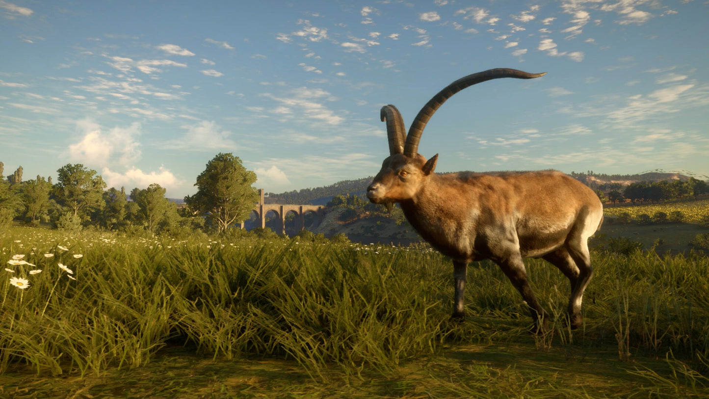 theHunter: Call of the Wild - Cuatro Colinas Game Reserve (PC) - Steam Key - GLOBAL   - Expansive Worlds [Email/Instant Delivery]