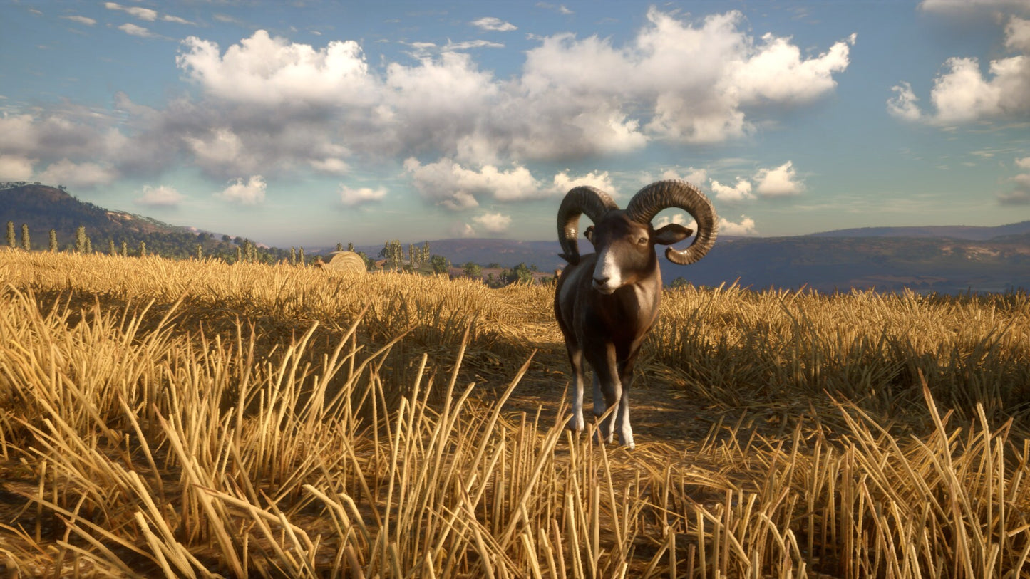 theHunter: Call of the Wild - Cuatro Colinas Game Reserve (PC) - Steam Key - GLOBAL   - Expansive Worlds [Email/Instant Delivery]