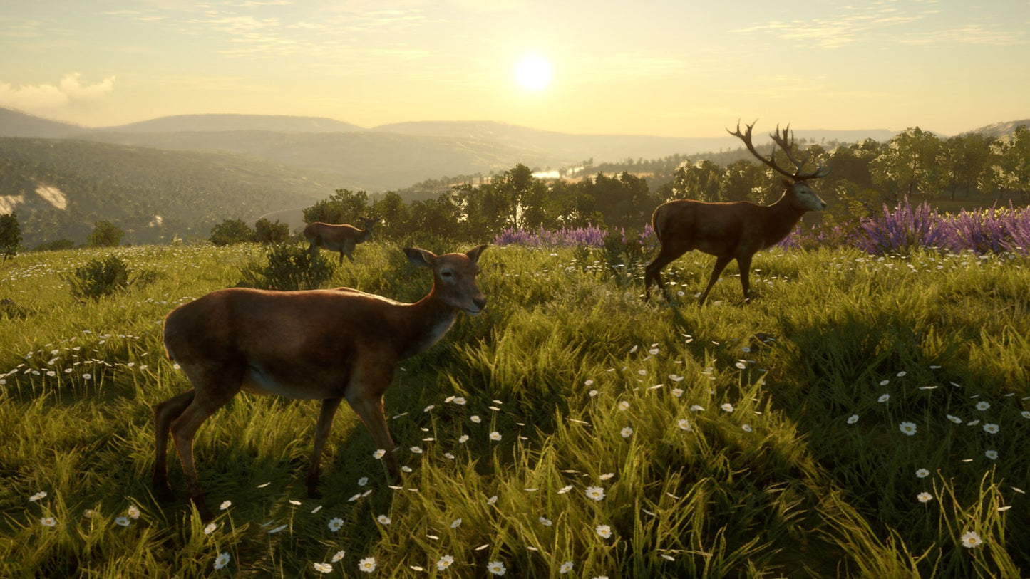theHunter: Call of the Wild - Cuatro Colinas Game Reserve (PC) - Steam Key - GLOBAL   - Expansive Worlds [Email/Instant Delivery]
