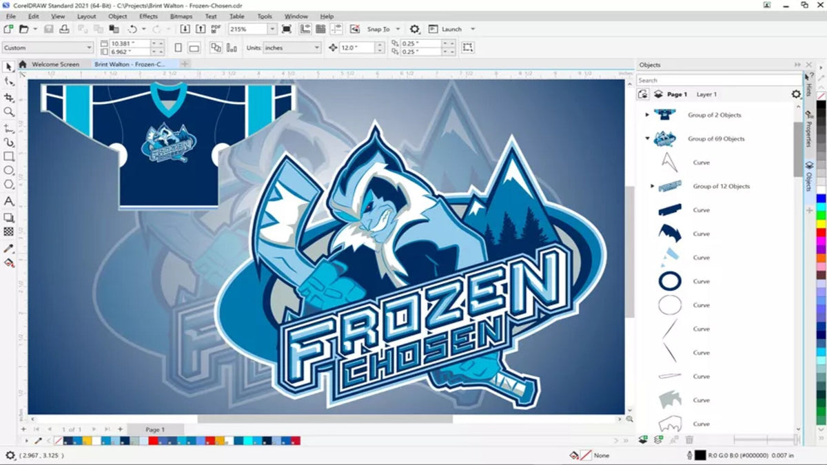 CorelDRAW 2021 Standard (2 PC, Lifetime) - Corel Key - GLOBAL  [Email/Instant Delivery]