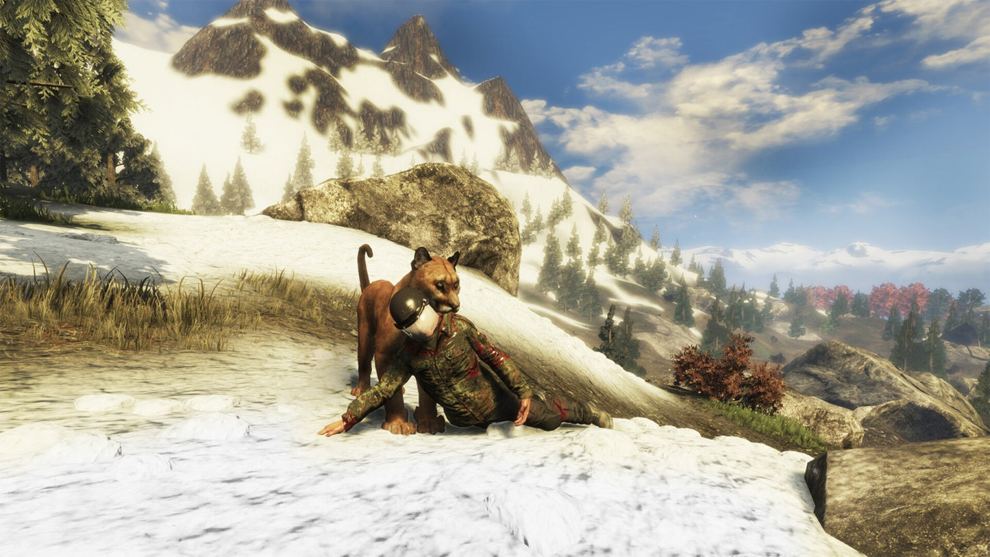 Subsistence Steam Gift GLOBAL   - ColdGames [Email/Instant Delivery]