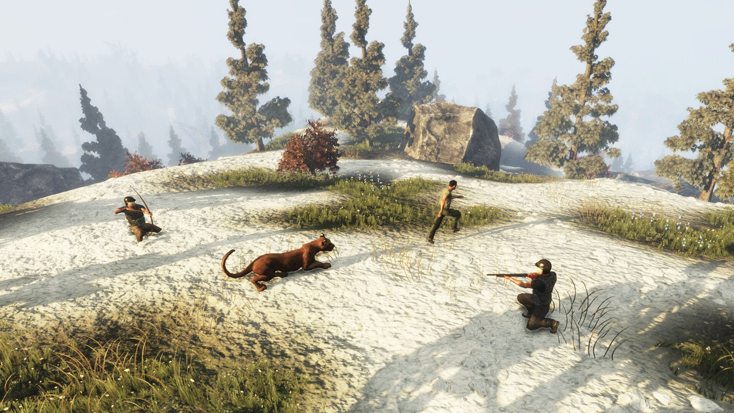 Subsistence Steam Gift GLOBAL   - ColdGames [Email/Instant Delivery]