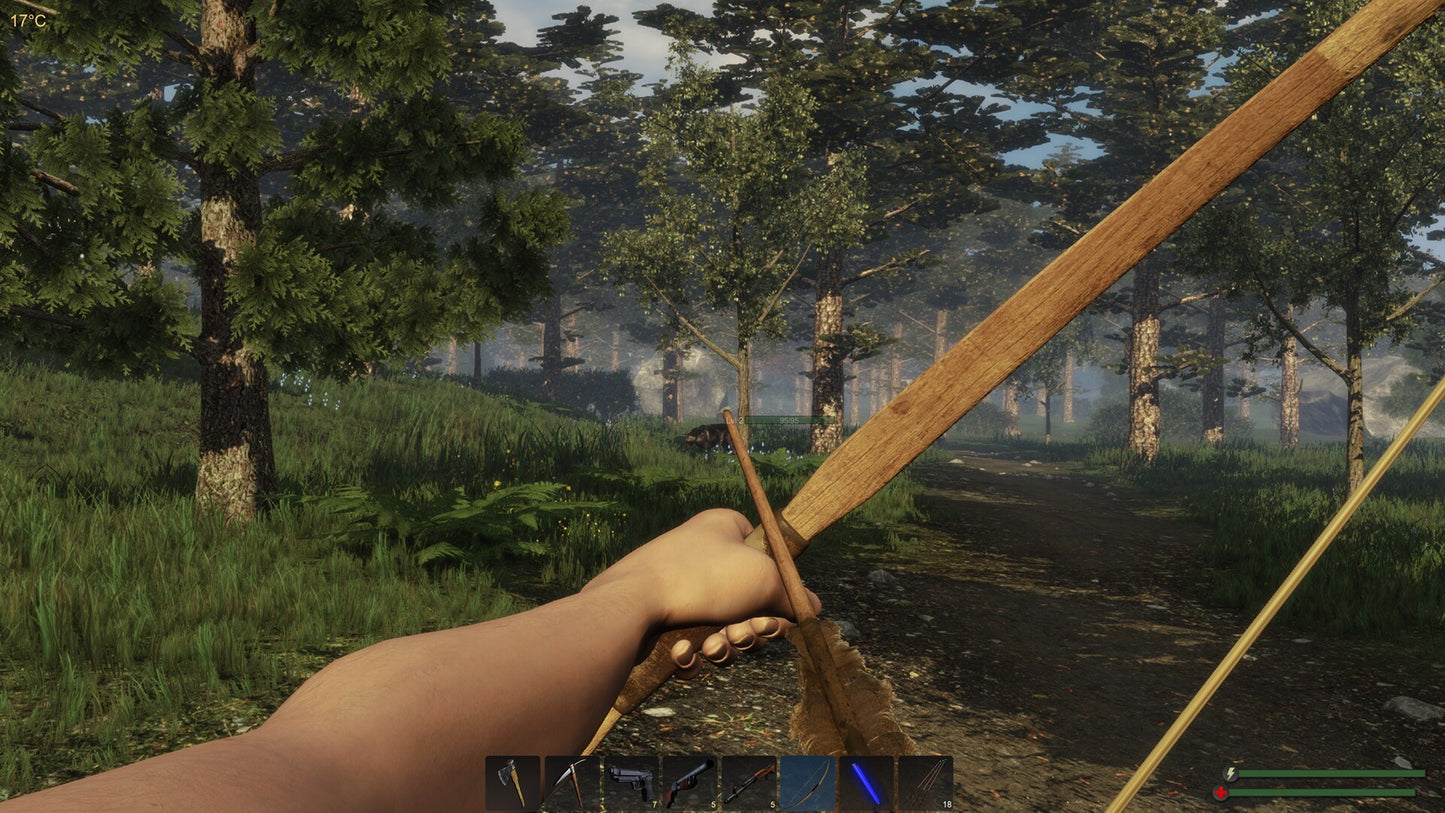 Subsistence Steam Gift GLOBAL   - ColdGames [Email/Instant Delivery]