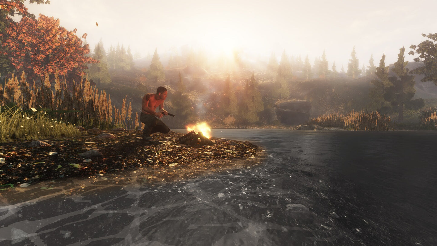 Subsistence Steam Gift GLOBAL   - ColdGames [Email/Instant Delivery]