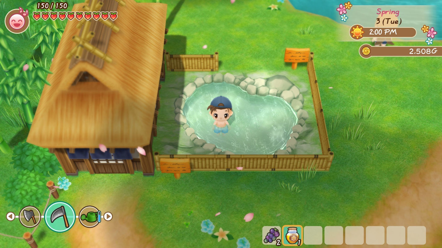 STORY OF SEASONS: Friends of Mineral Town (PC) - Steam Gift - GLOBAL   - Marvelous [Email/Instant Delivery]