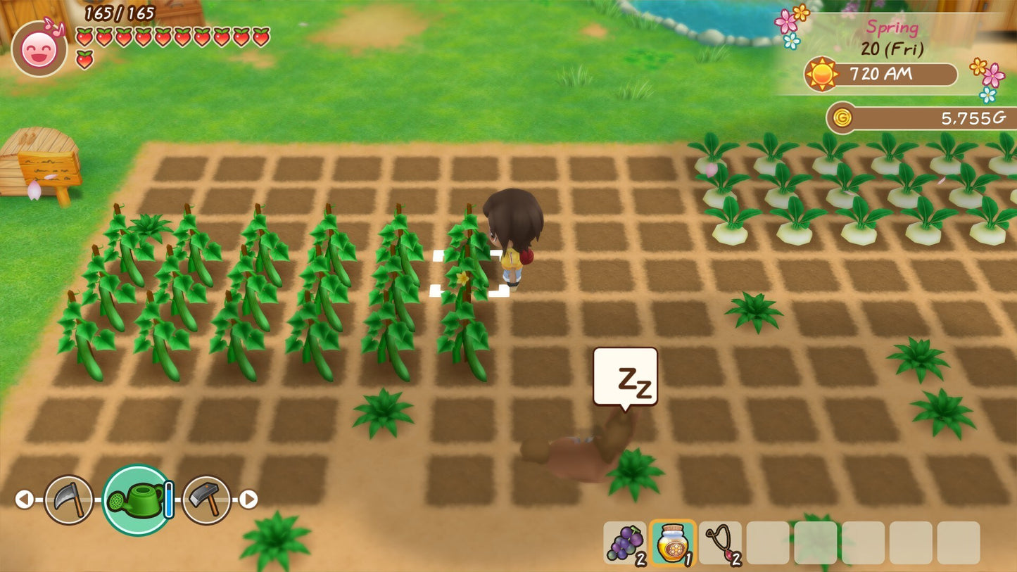 STORY OF SEASONS: Friends of Mineral Town (PC) - Steam Gift - GLOBAL   - Marvelous [Email/Instant Delivery]
