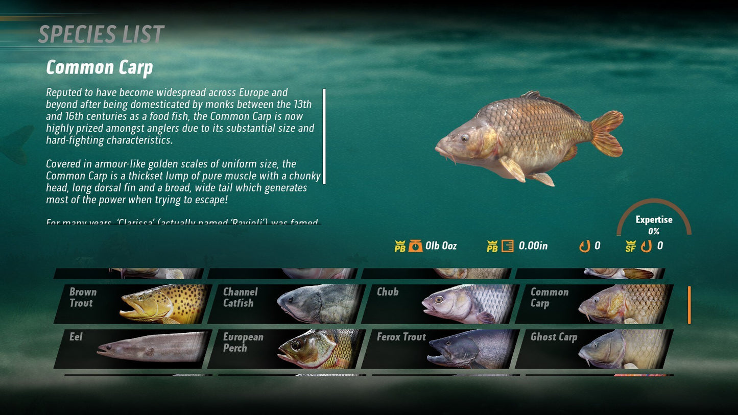 The Catch: Carp & Coarse (PC) - Steam Key - GLOBAL  [Email/Instant Delivery]