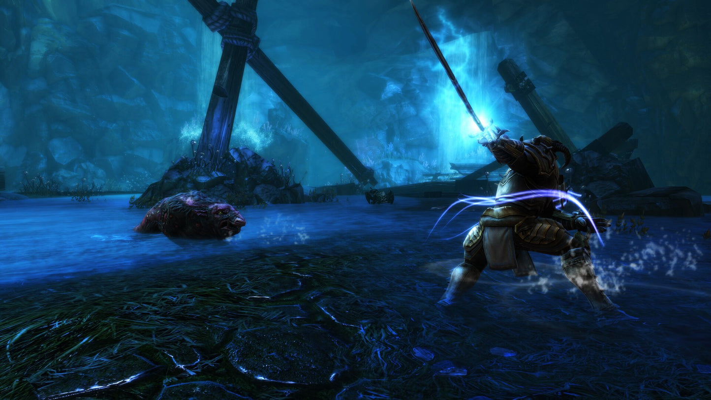Kingdoms of Amalur: Re-Reckoning (PC) - Steam Key - GLOBAL   - THQ Nordic [Email/Instant Delivery]