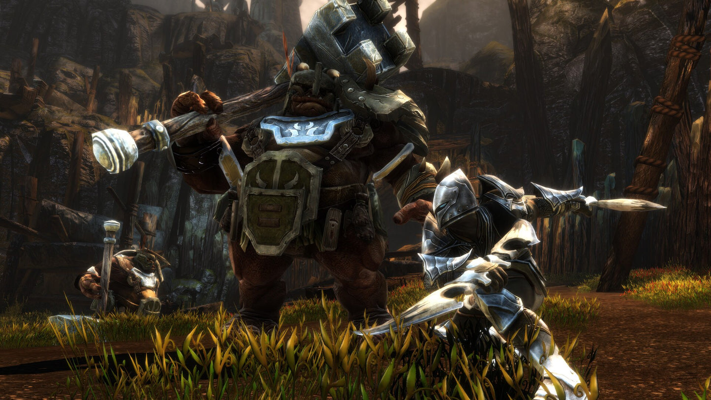 Kingdoms of Amalur: Re-Reckoning (PC) - Steam Key - GLOBAL   - THQ Nordic [Email/Instant Delivery]