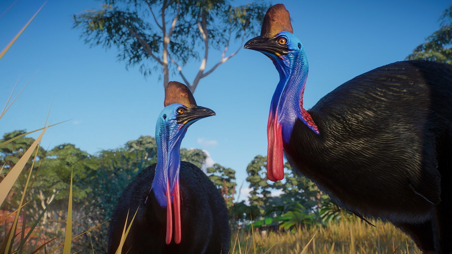Planet Zoo: Australia Pack (PC) - Steam Key - GLOBAL   - Frontier Developments [Email/Instant Delivery]