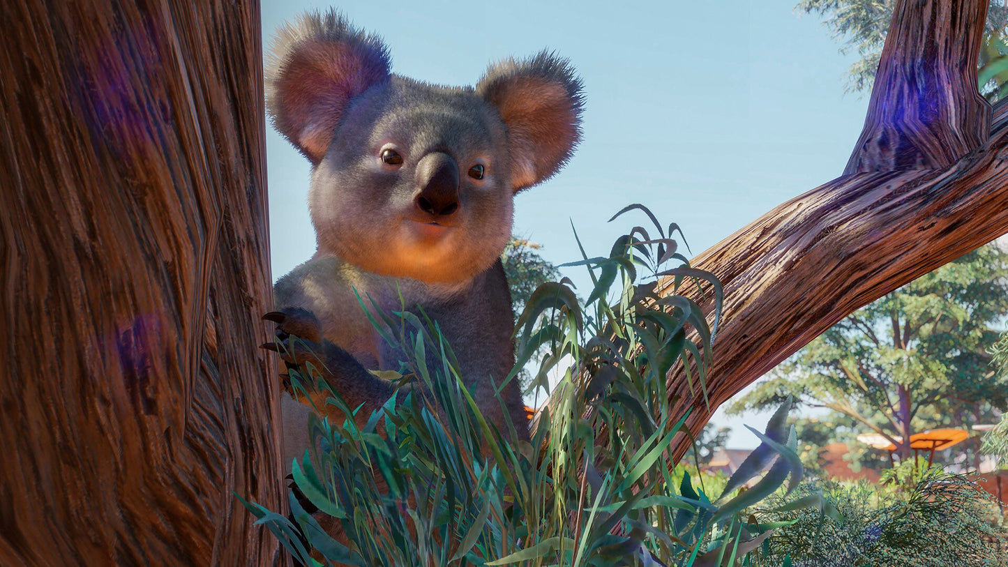 Planet Zoo: Australia Pack (PC) - Steam Key - GLOBAL   - Frontier Developments [Email/Instant Delivery]
