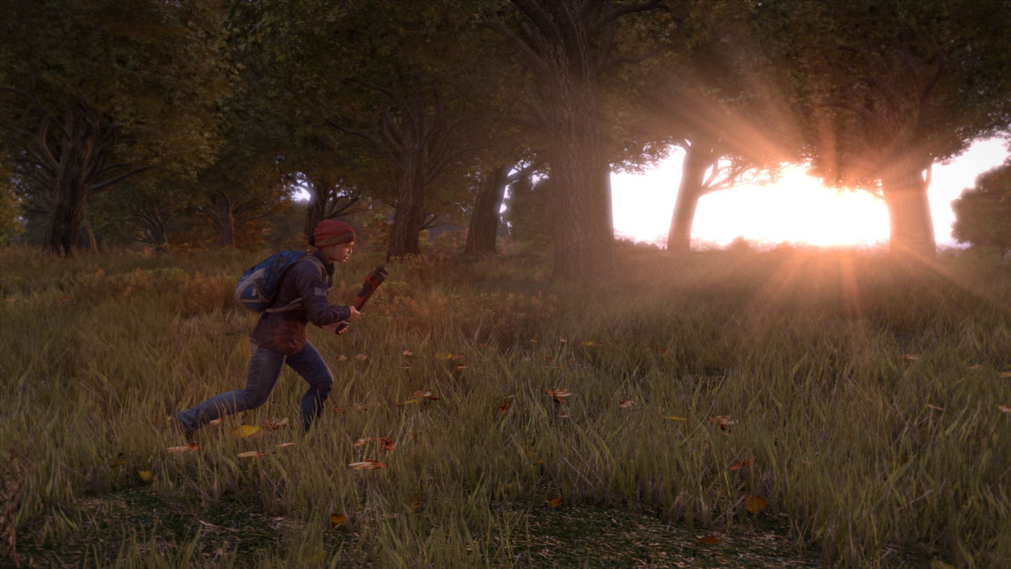 DayZ Steam Key GLOBAL   - Bohemia Interactive [Email/Instant Delivery]