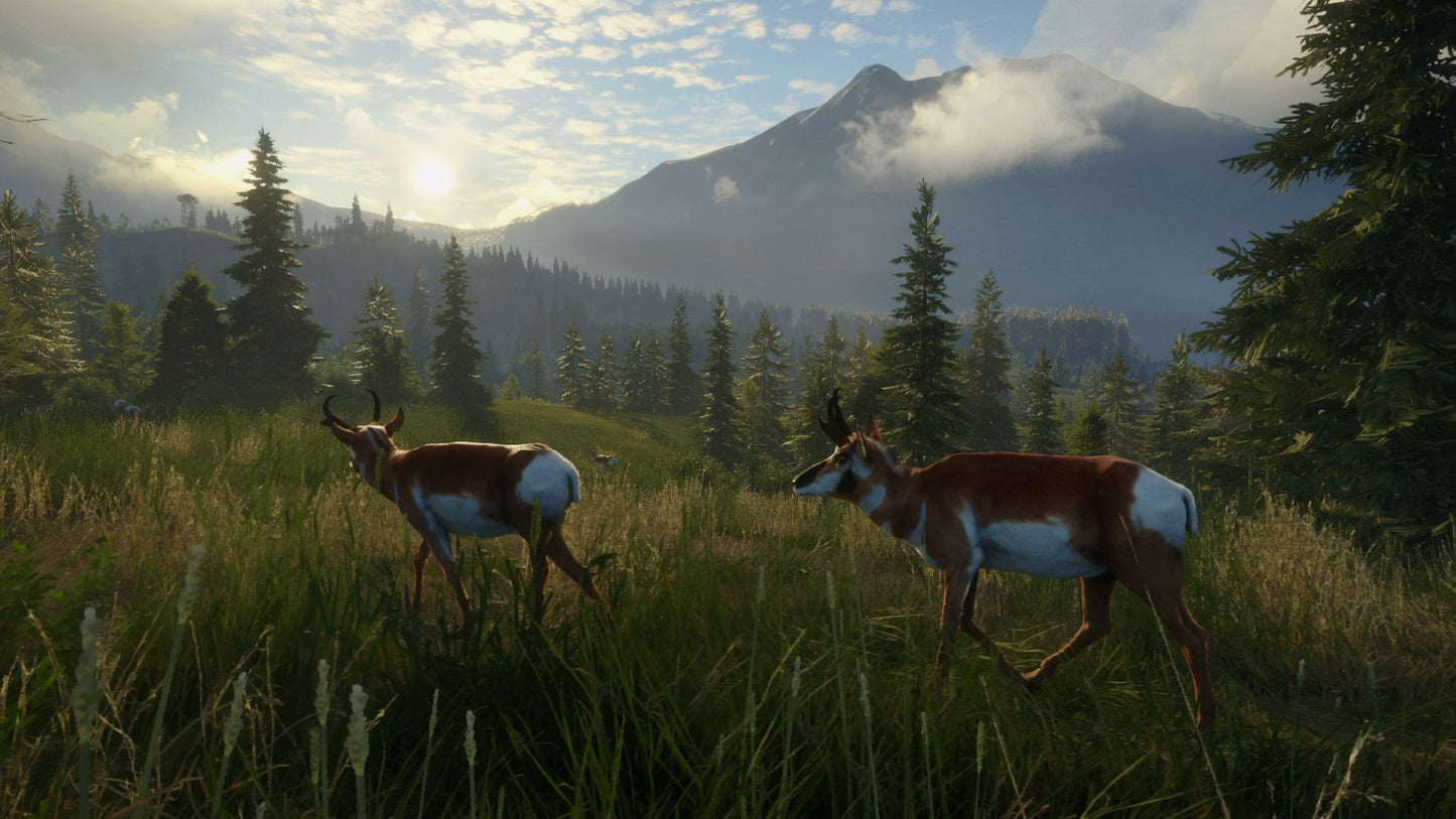 theHunter: Call of the Wild - Silver Ridge Peaks (PC) - Steam Key - GLOBAL   - Steam [Email/Instant Delivery]