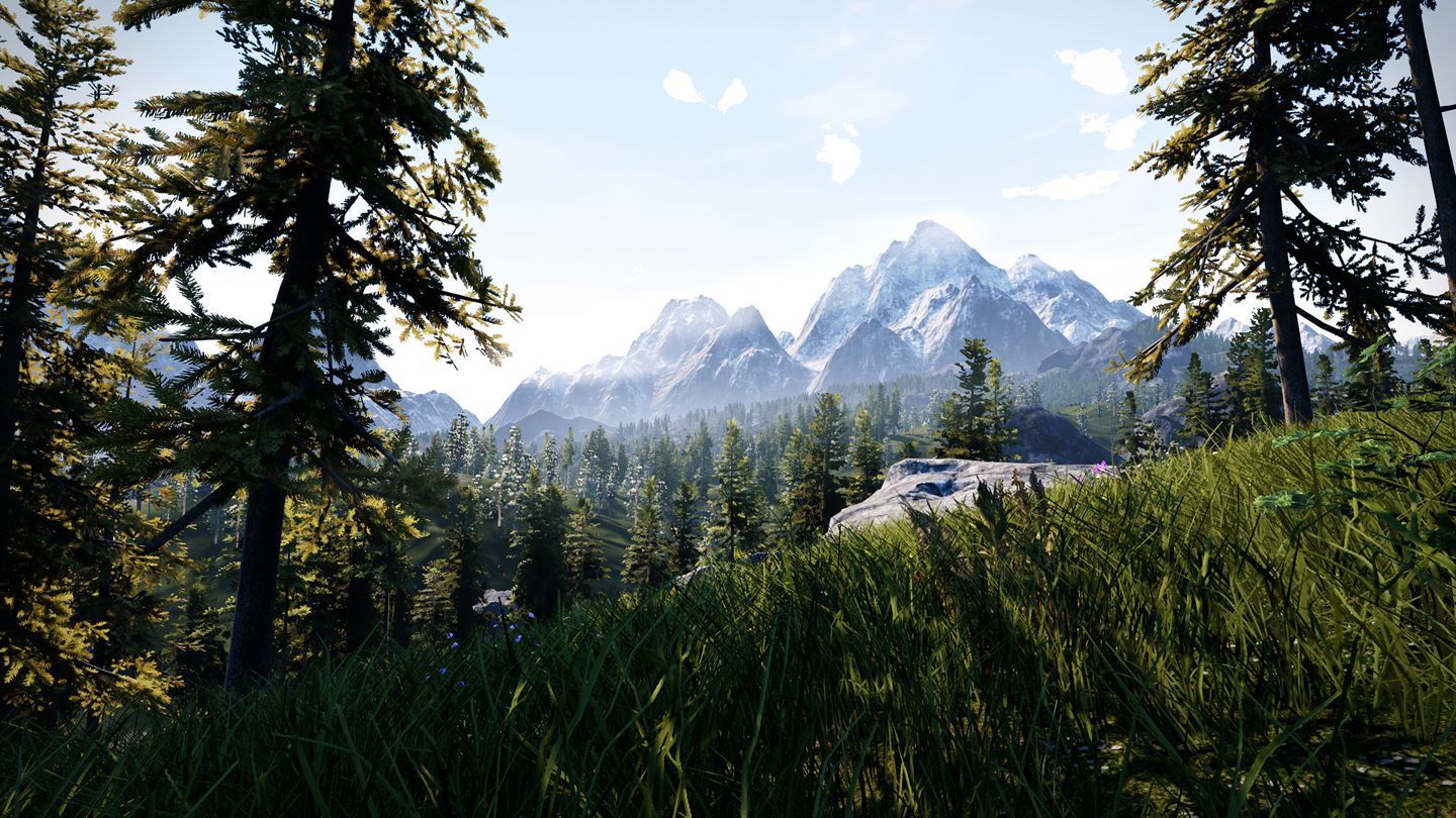 Hunting Simulator Steam Key GLOBAL   - Bigben Interactive [Email/Instant Delivery]