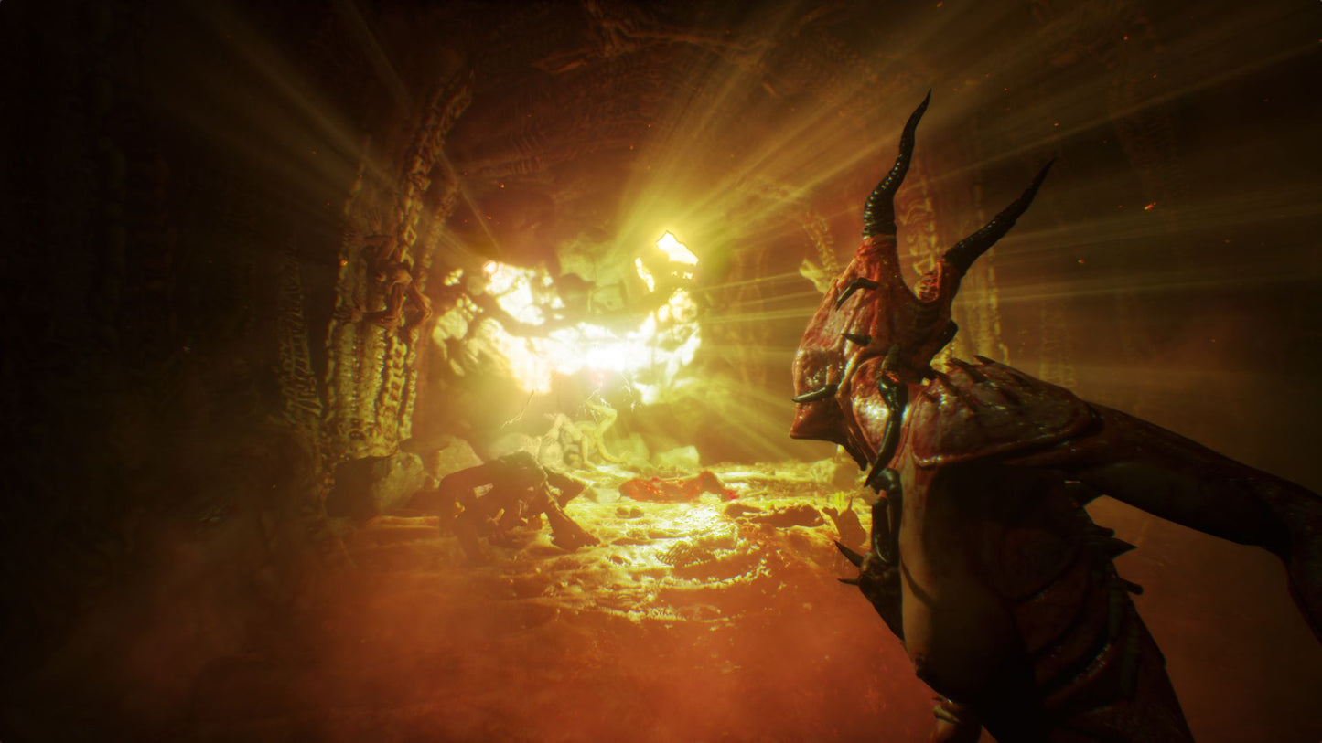 Agony Steam Key GLOBAL   - Steam [Email/Instant Delivery]