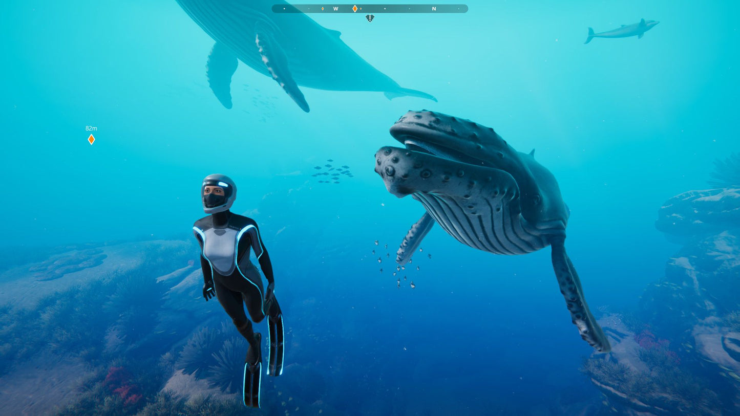 Beyond Blue (PC) - Steam Key - GLOBAL   - Steam [Email/Instant Delivery]