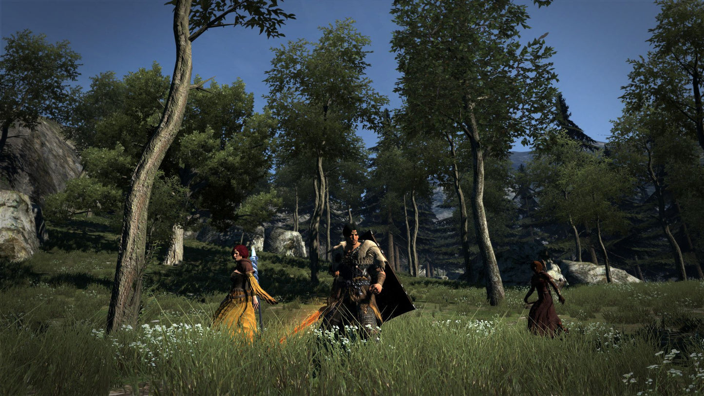 Dragon's Dogma: Dark Arisen Steam Key EUROPE   - CAPCOM [Email/Instant Delivery]