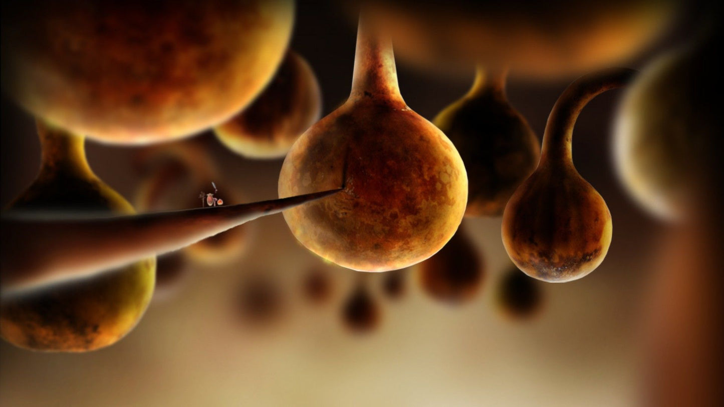 Botanicula Steam Key GLOBAL   - Amanita Design [Email/Instant Delivery]