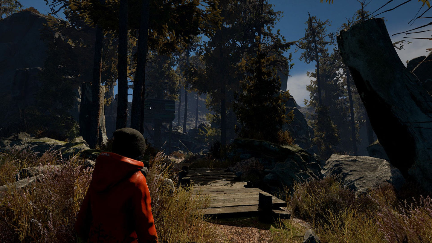 Through the Woods Steam Key GLOBAL   - 1C Company [Email/Instant Delivery]