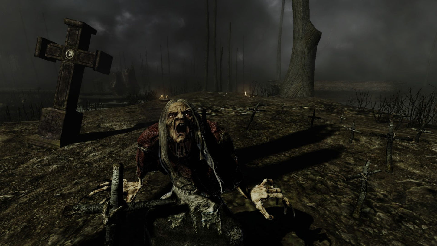 Painkiller: Hell & Damnation Collectors Edition Steam Key GLOBAL   - THQ Nordic [Email/Instant Delivery]