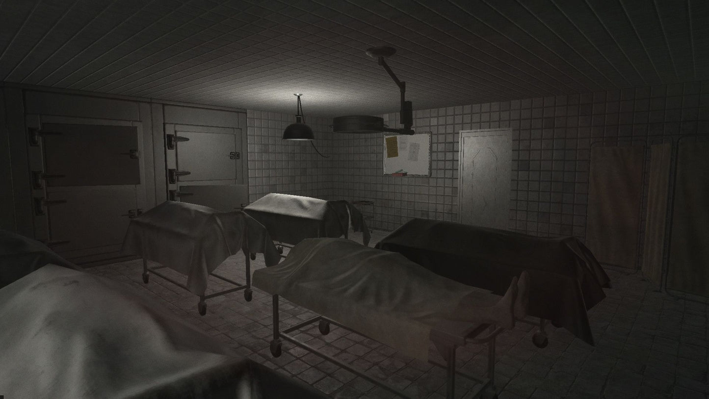 ALONE? Steam Key GLOBAL   - Deceptive Games Ltd. [Email/Instant Delivery]