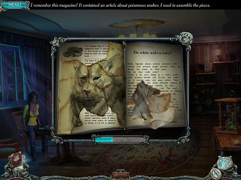 Mountain Crime: Requital Steam Key GLOBAL   - Alawar Entertainment [Email/Instant Delivery]